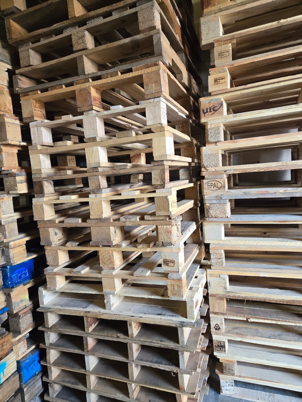 31x47/Similar Sizes Mix